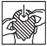 leaflet-image-5.jpg