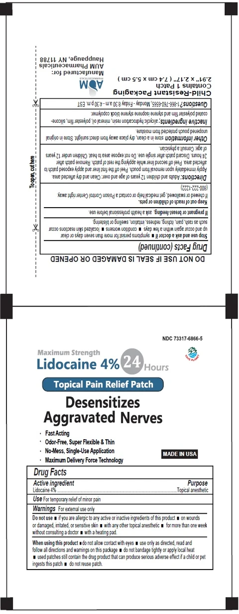 Lidocaine Patch packaging