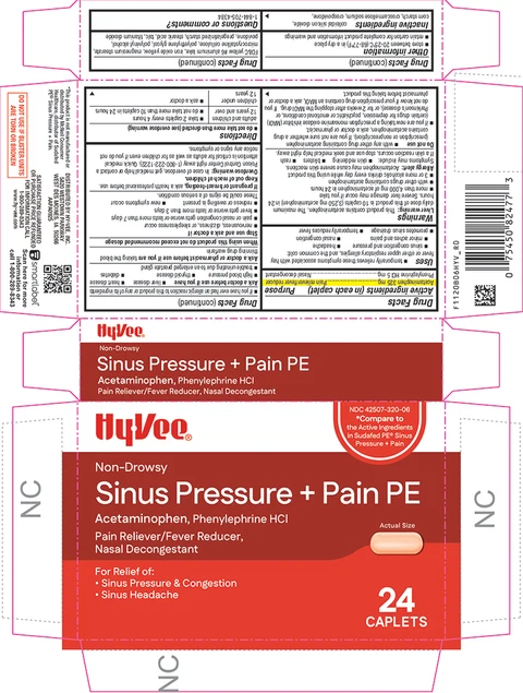 Sinus Pressure and Pain PE 포장