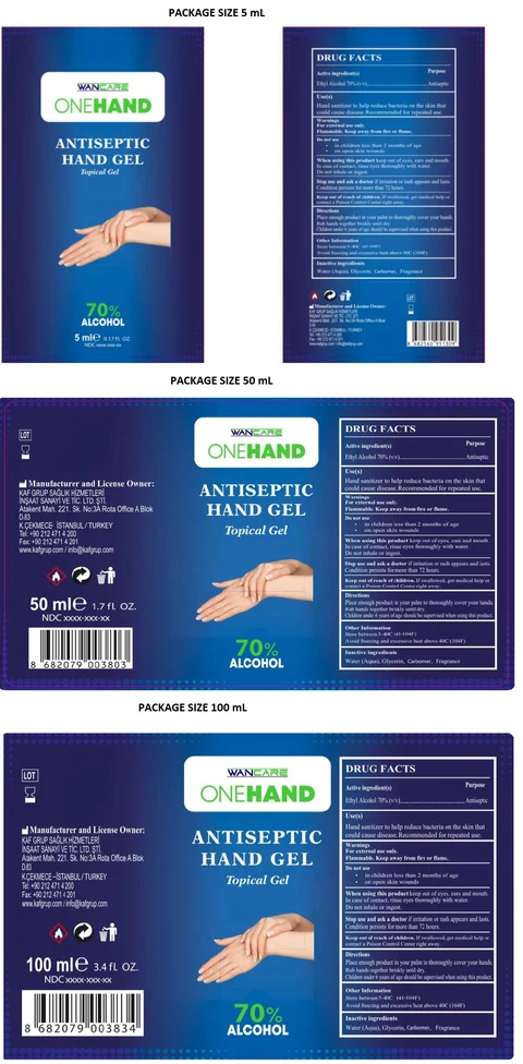 WANCAREONEHAND ANTISEPTIC HAND Gel packaging