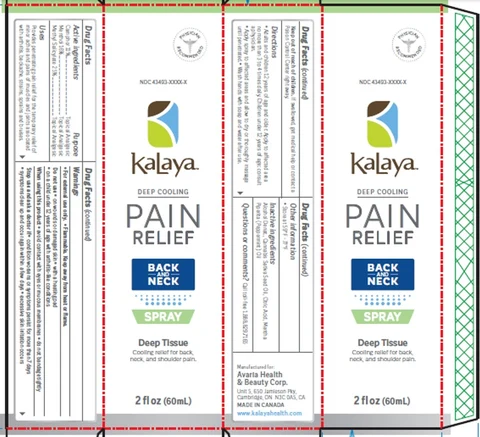KALAYA BACK AND NECK PAIN RELIEF 포장