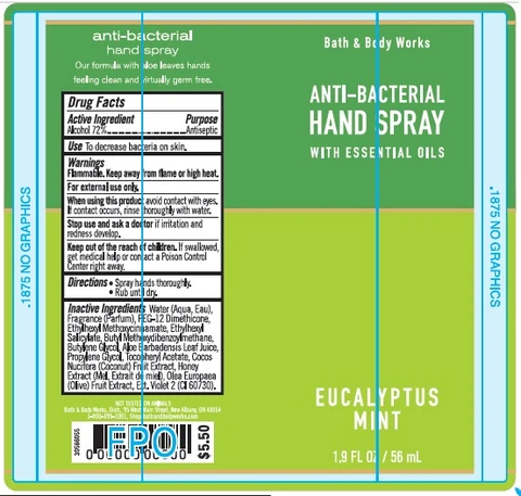 Anti-Bacterial HandEucalyptus Mint 포장