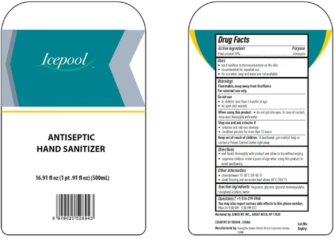 Icepool Antiseptic Hand Sanitizer 포장