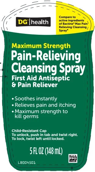 DG HealthMaximum Strength Pain Relieving Cleansing 포장
