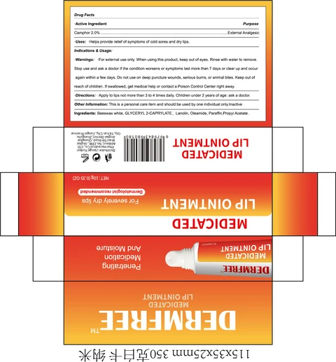 DERMFREE MEDICATED LIP 포장