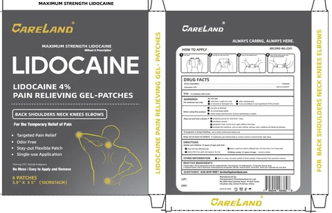 Careland Lidocaine Pain Relieving 포장