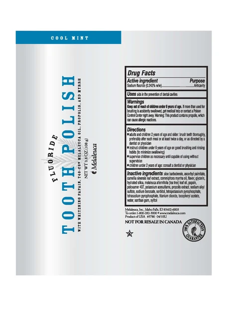 WhiteningTooth Polish packaging