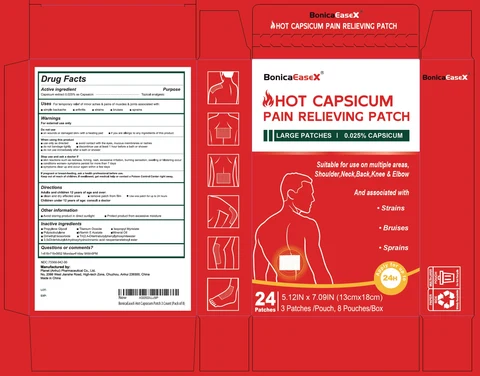 BonicaEaseX Hot Capsicum Pain Relieving 포장