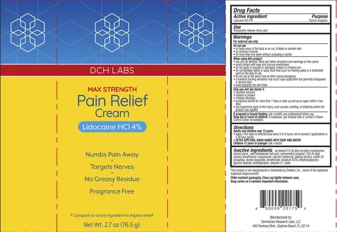 DCH Pain Relief 포장