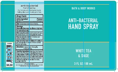 Anti-Bacterial HandWhite Tea Sage 포장