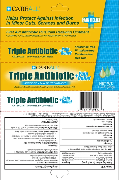 CareALL Triple Antibiotic plus Pain Relief 포장