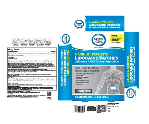 Albertsons Pain Relief Patch 포장