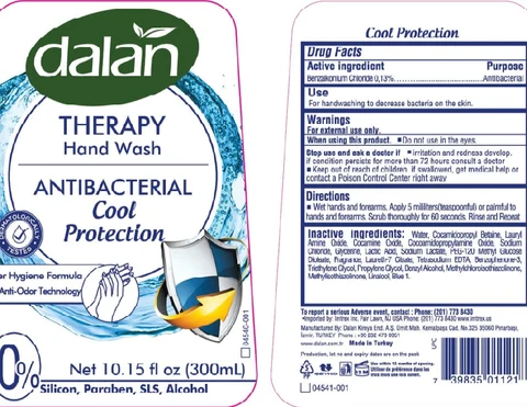 Dalan Therapy Antibacterial Hand Wash, Cool Protection 포장