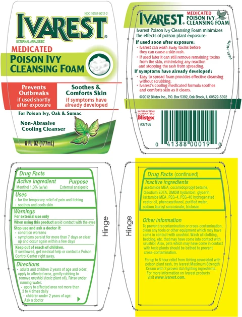 Blistex Ivarest Medicated Poison Ivy Cleansing Foam 포장