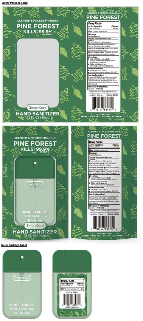Smart Care PINE FOREST HAND SANITIZER 포장