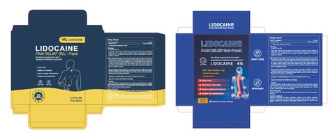 4% Lidocaine Patch 포장