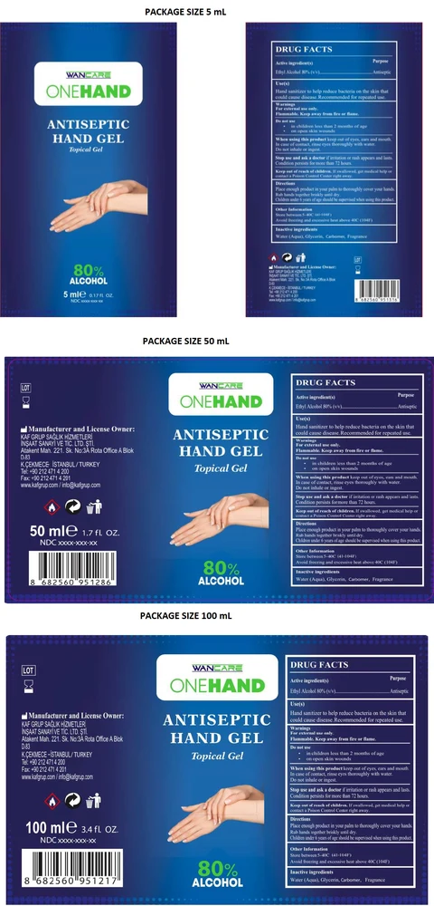 WANCAREONEHAND ANTISEPTIC HAND Gel packaging
