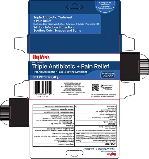 Triple Antibiotic Plus Pain Relief packaging