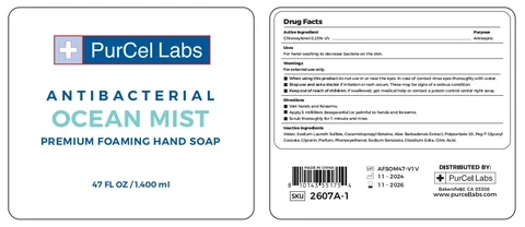 Antibacterial Wash hands foam 포장