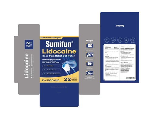 Lidocaine Knee Pain Relief Gel-Patch packaging