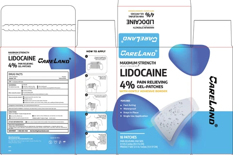 Careland Max Strength Lidocaine 4 Pain Relieving 포장