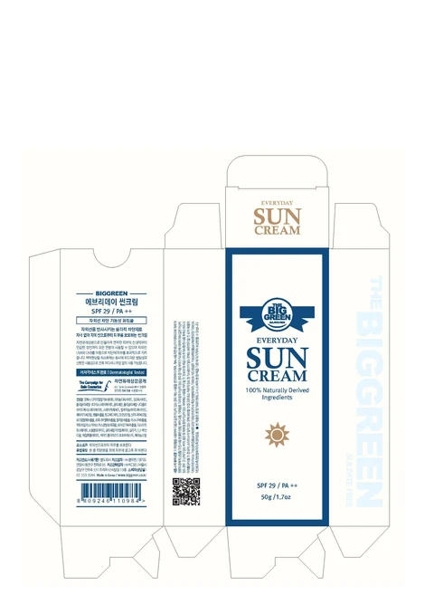 BIGGREEN EVERYDAY SUN 포장