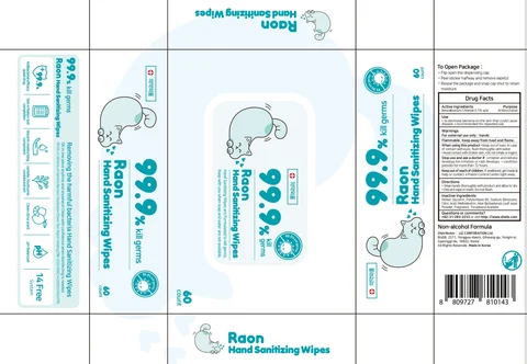 Raon Hand Sanitizing Wipes 포장