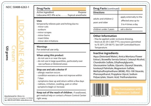 Lidocaine 4 Percent PLUS packaging