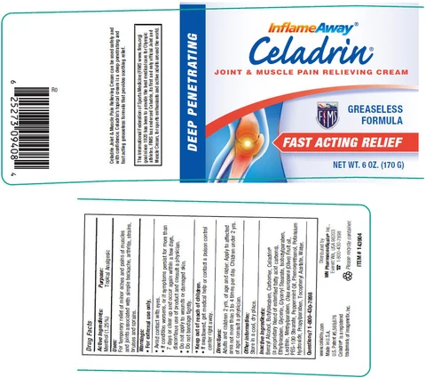 CeladrinJoint and Muscle Pain Relieving 포장