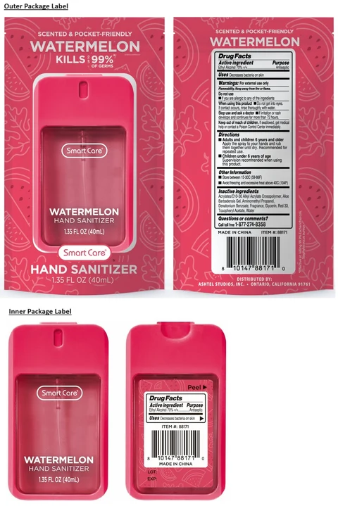 Smart Care WATERMELON HAND SANITIZER 포장