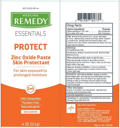 Remedy Essentials 포장