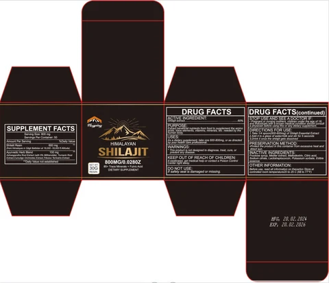 Shilajit 포장