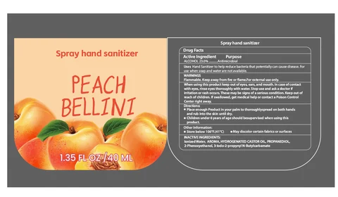 Sprayhand sanitizer packaging