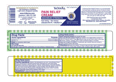 TRIDERMA PAIN RELIEF 포장