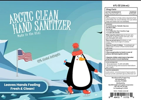 Arctic Clean Hand Sanitizer 포장