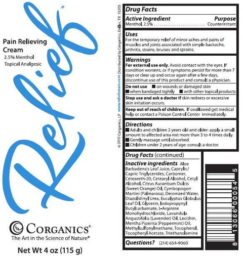 Relief Pain Relieving Cream 포장