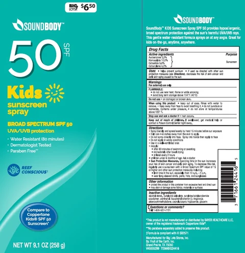 BIG LOTS SOUNDBODY KIDS SUNSCREEN SPF 50 포장