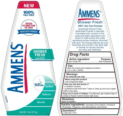 Ammens Medicated Powder Shower Fresh 포장