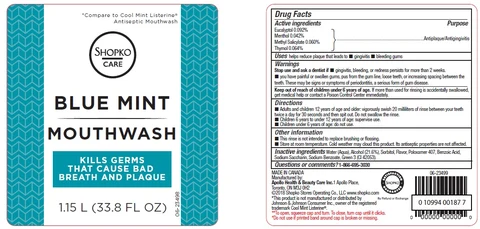 Shopko Blue Mint 포장