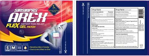 Sinsinpas Arex Flex Gel Pain Relieving Patch 포장