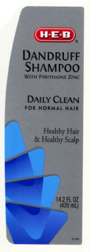 DANDRUFF 2 IN 1 SHAMPOO AND CONDITIONER DAILY CLEAN FOR NORMAL HAIR 포장
