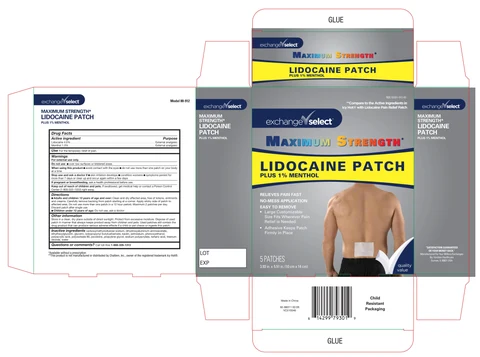MAXIMUM STRENGTH Lidocaine Plus Menthol 포장
