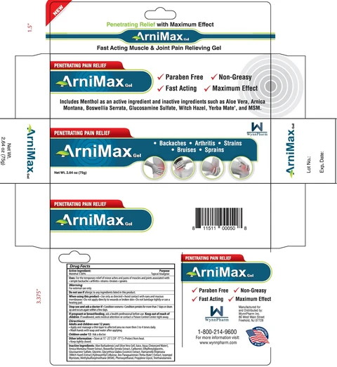 ARNIMAX Penetrating Pain Relief Gel 포장