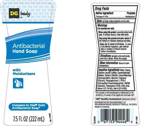 DG BODYANTIBACTERIAL 포장