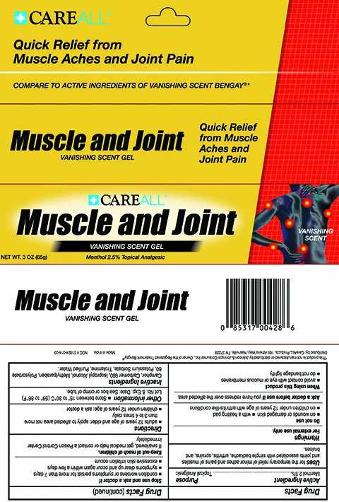 CAREALL Musle and Joint packaging