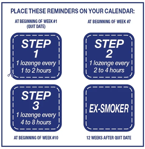 calendar-reminder-leaflet-image-two.jpg