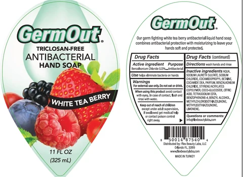 Antibacterial 포장