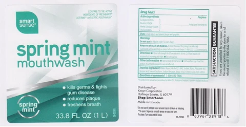 SMART SENSESPRING MINT 포장