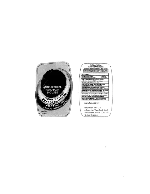 Antibacterial Hand Mousse 포장