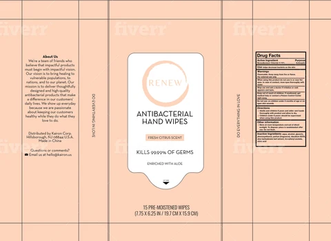 Renew Antibacterial Hand Wipes 포장